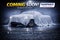 2011 Dodge Grand Caravan Crew
